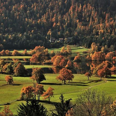 Apartment Sefic Planina  Exteriér fotografie