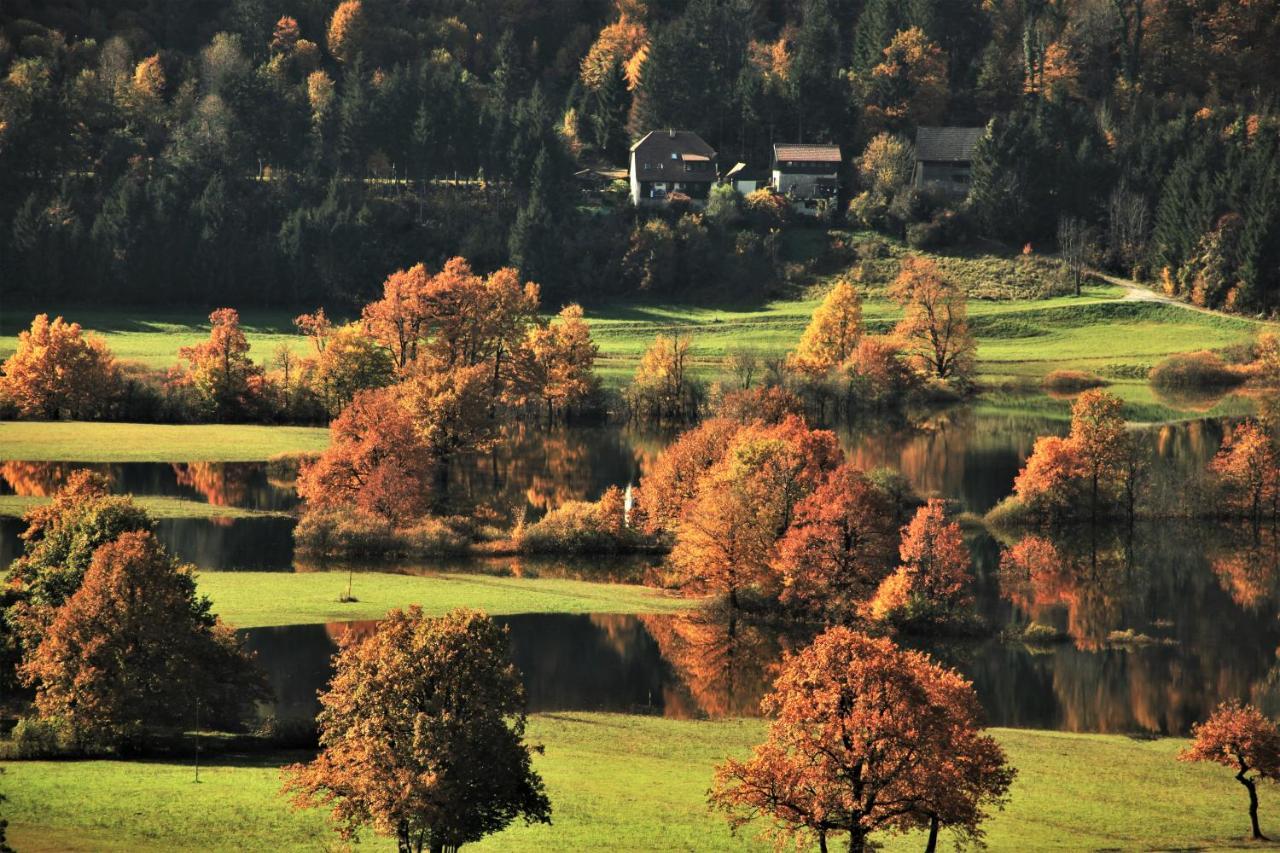 Apartment Sefic Planina  Exteriér fotografie