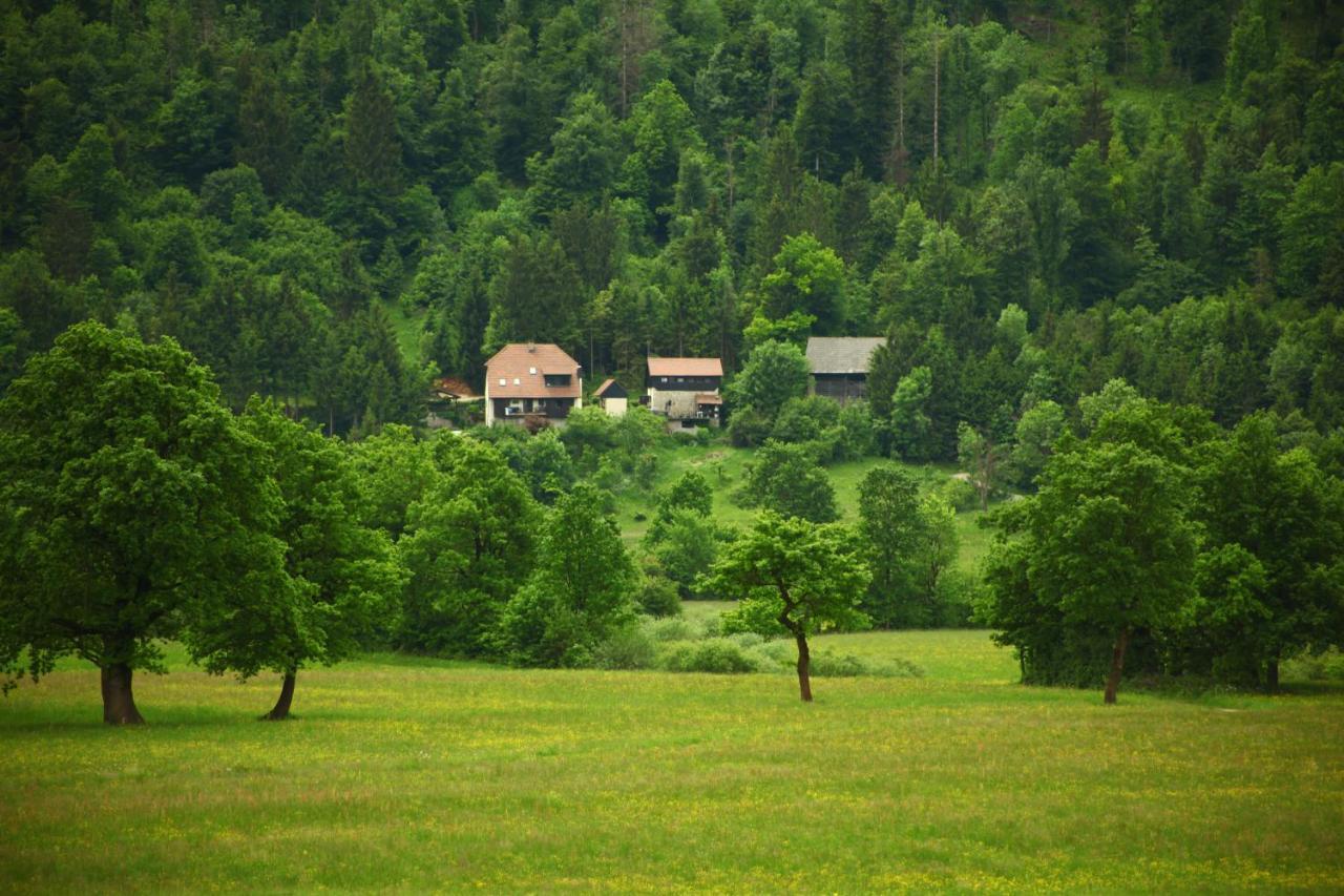 Apartment Sefic Planina  Exteriér fotografie