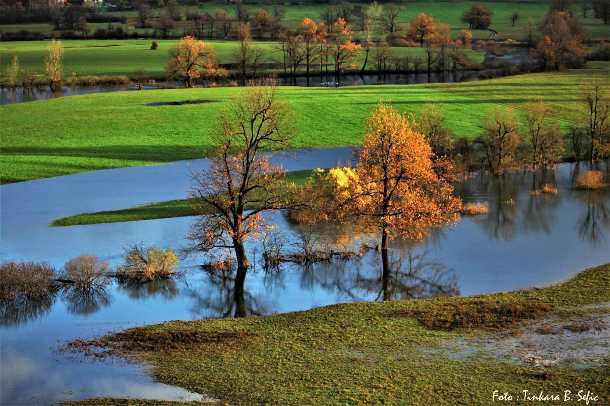 Apartment Sefic Planina  Exteriér fotografie