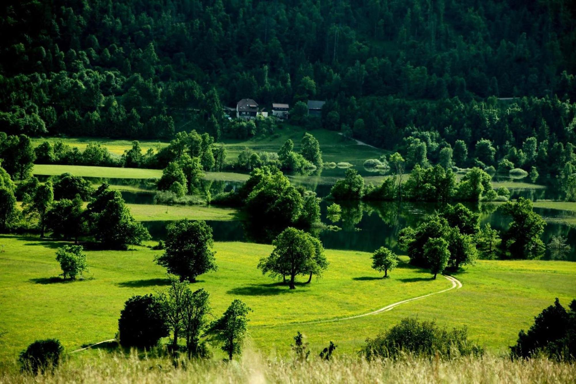 Apartment Sefic Planina  Exteriér fotografie