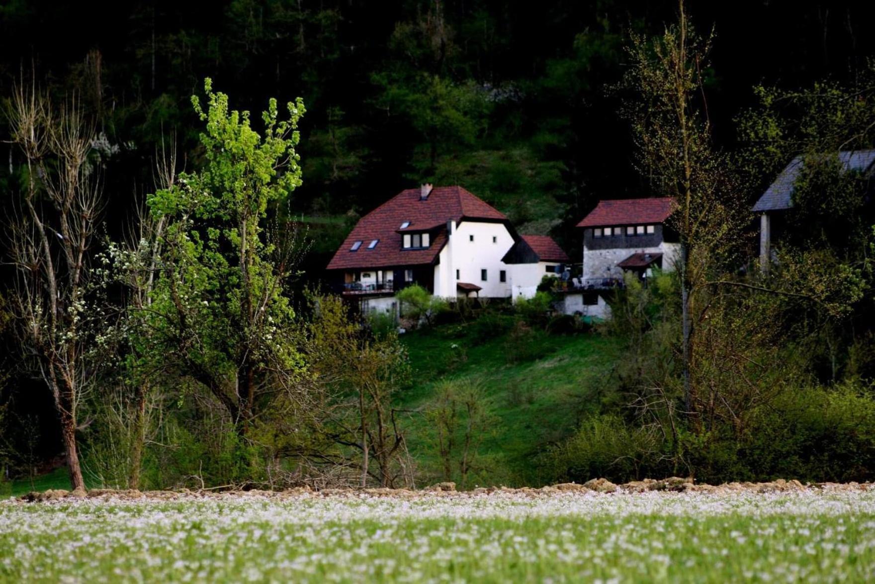 Apartment Sefic Planina  Exteriér fotografie