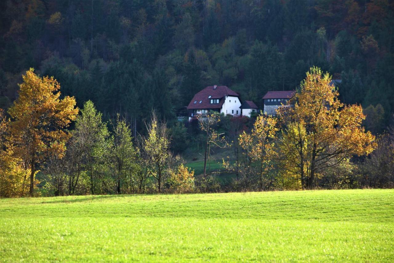 Apartment Sefic Planina  Exteriér fotografie