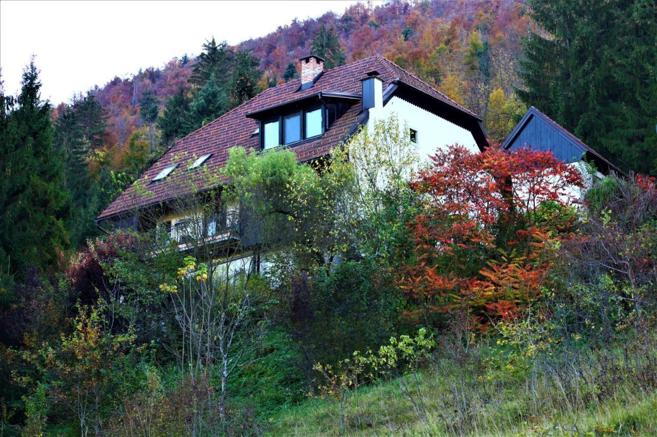 Apartment Sefic Planina  Exteriér fotografie